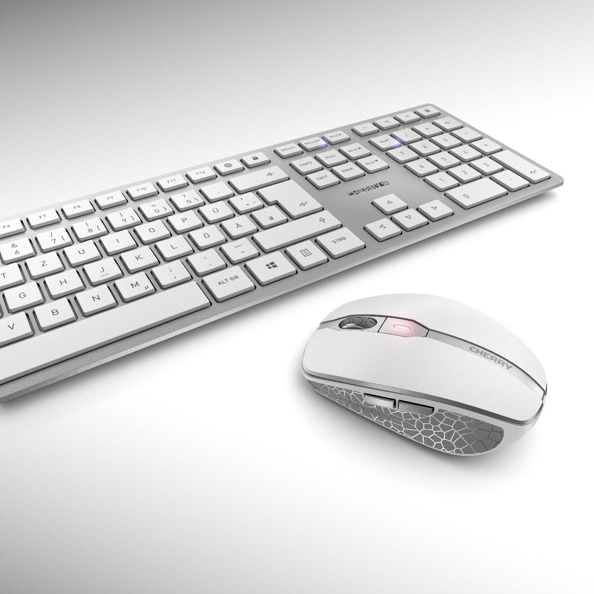 Cherry DW 9000 SLIM, Rechargeable Wireless Desktop (Keyboard+Mouse), USB/Bluetooth - SILVER/WHITE (EU) US-English with EURO Symbol